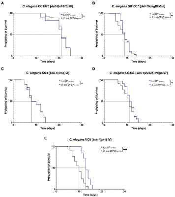 In vivo investigation of Lcr35® anti-candidiasis properties in Caenorhabditis elegans reveals the involvement of highly conserved immune pathways